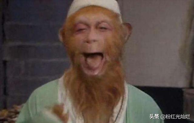娱乐开局拿下神仙姐姐一血（娱乐开局拿下神仙姐姐一血小说）