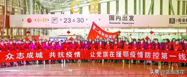 科研美人想躺平[七零]（科研美人想躺平[七零],矣秋醉）