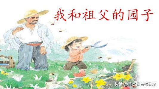 晚上爷爷总是压在妈妈肚子上睡觉