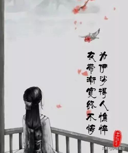 衣带渐宽终不悔（衣带渐宽终不悔三层境界）