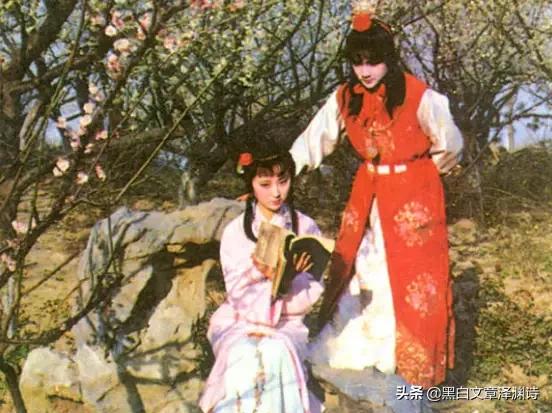 红楼之重生不重来（红楼之重生不重来小说）