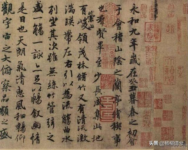 巅峰小草医（巅峰小草医全本免费下载）