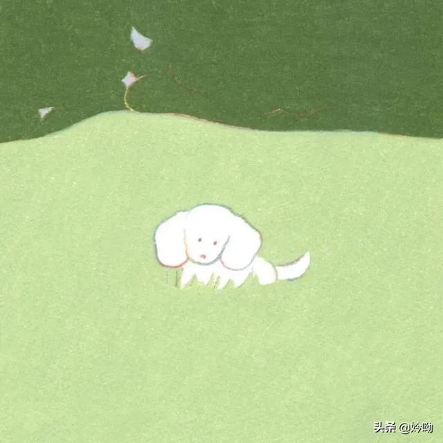 txt小说阅读网（txt小说阅读器官网）